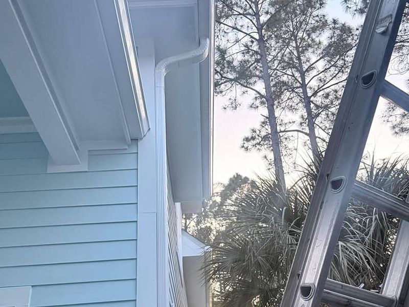 An extension ladder against the white gutter and fascia of a light-blue house, with pines behind