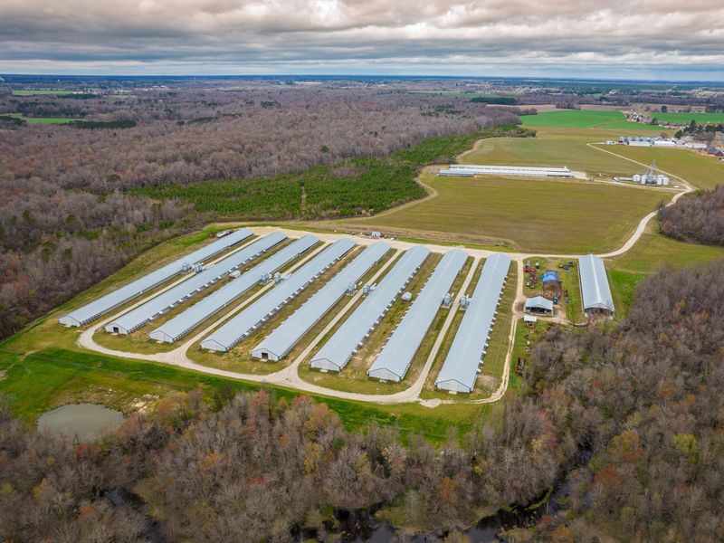 Aerial view of rows of long white-roofed poultry houses in a clearing surrounded by woods, with farm fields beyond