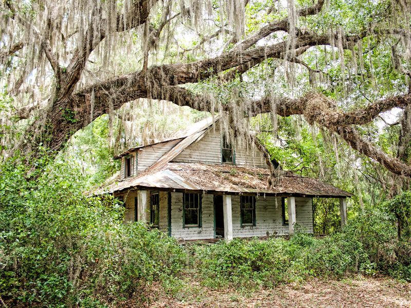 An abandoned frame farmhouse with a sagging tin roof and deep front porch beneath moss-draped live oaks near Nahunta, Brantley County, Georgia