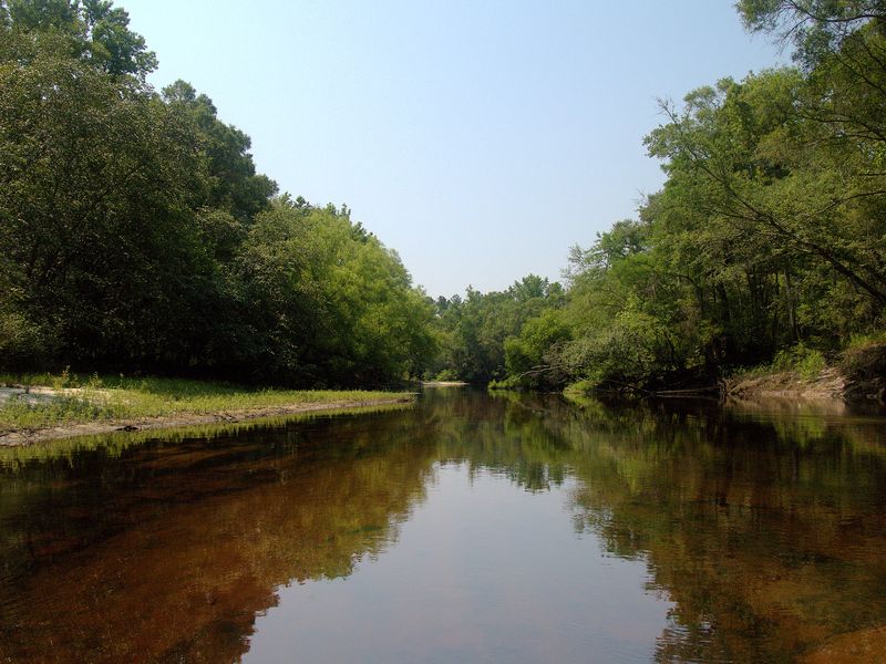 Tea-colored blackwater of the Satilla River running between wooded banks and a pale sandbar