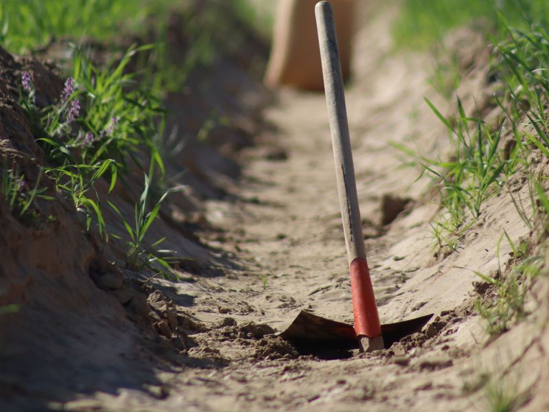 A long-handled spade standing in a shallow trench dug through sandy soil between strips of grass