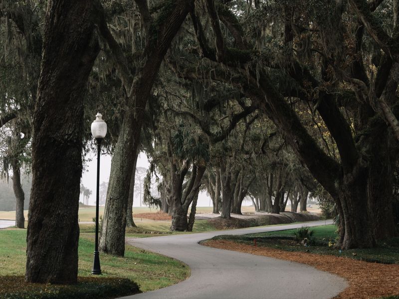 A paved path curving beneath live oaks draped in Spanish moss on St. Simons Island, Georgia
