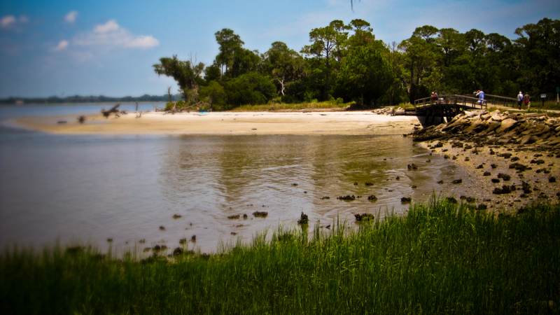 Salt marsh grass and a tidal beach on Jekyll Island, Georgia, with maritime forest and a wooden footbridge