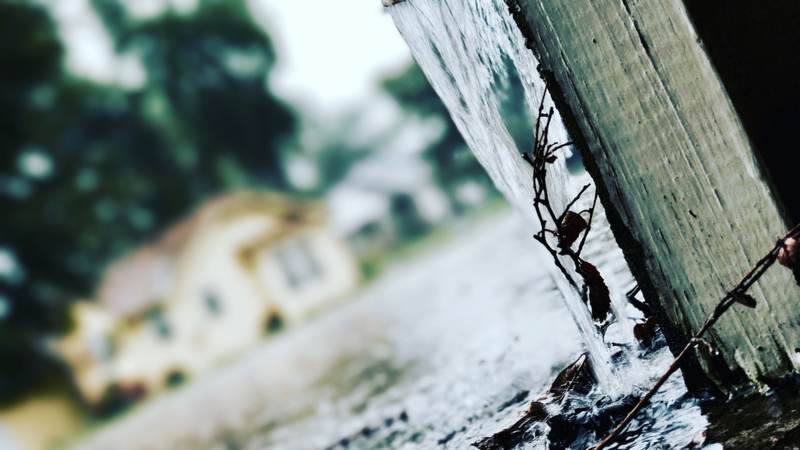 Rainwater pouring off the edge of a weathered board past a dead vine in a downpour, with a house blurred behind