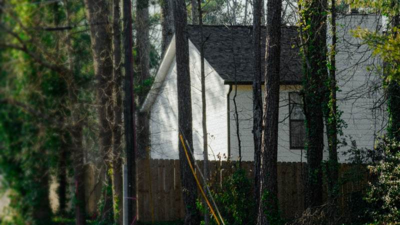 A white house with a dark shingle roof partly hidden behind tall pine trunks and climbing vines