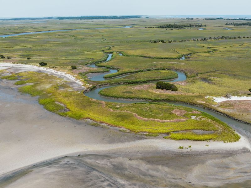 Aerial view of a tidal creek winding through green salt marsh and pale sand flats on the South Carolina coast