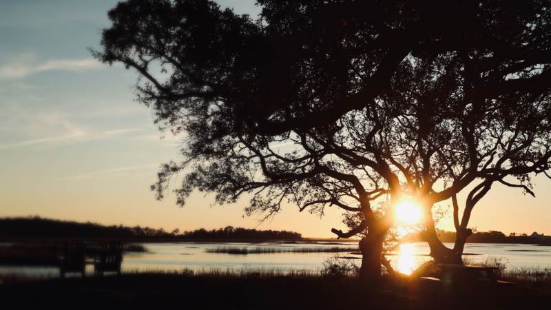 Live oaks silhouetted against the sunset over a tidal salt marsh, with two Adirondack chairs at the edge of the grass