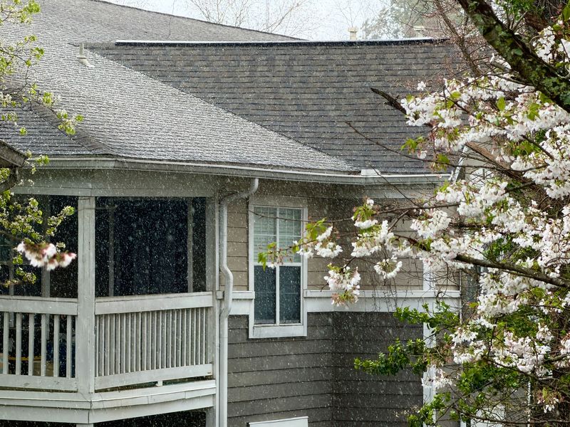 Rain falling past the gutter and downspout of a two-story porch beside a flowering tree