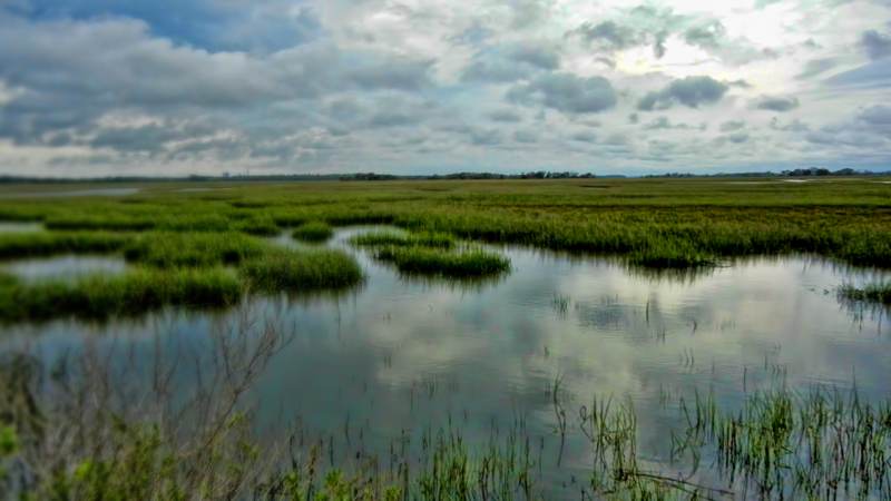 A Georgia salt marsh at high tide, with open water between clumps of marsh grass under heavy clouds