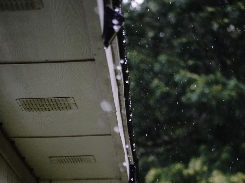 Rain dripping from a gutter edge below a white vented soffit, with trees beyond