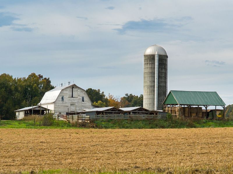 A white barn, a tall silo and a long metal-roofed shed at the edge of a plowed field