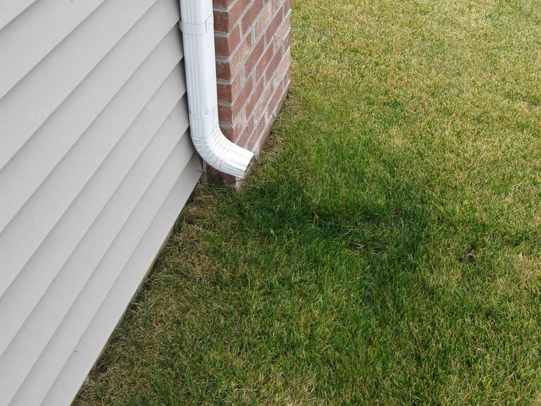 A white downspout emptying onto the lawn right beside a sided wall and brick corner